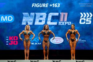 FIGURE +163
